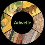 Adwelle