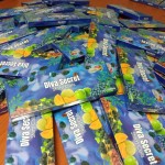 DIVA SECRETS STEMCELL